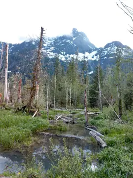 Granite Falls Heated & RV photo 2