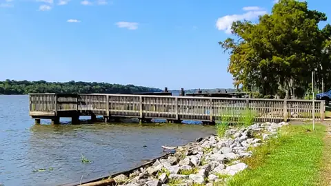 Tensaw River Park photo 3