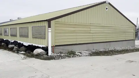 In-N-Out Storage - Elm Park photo 2