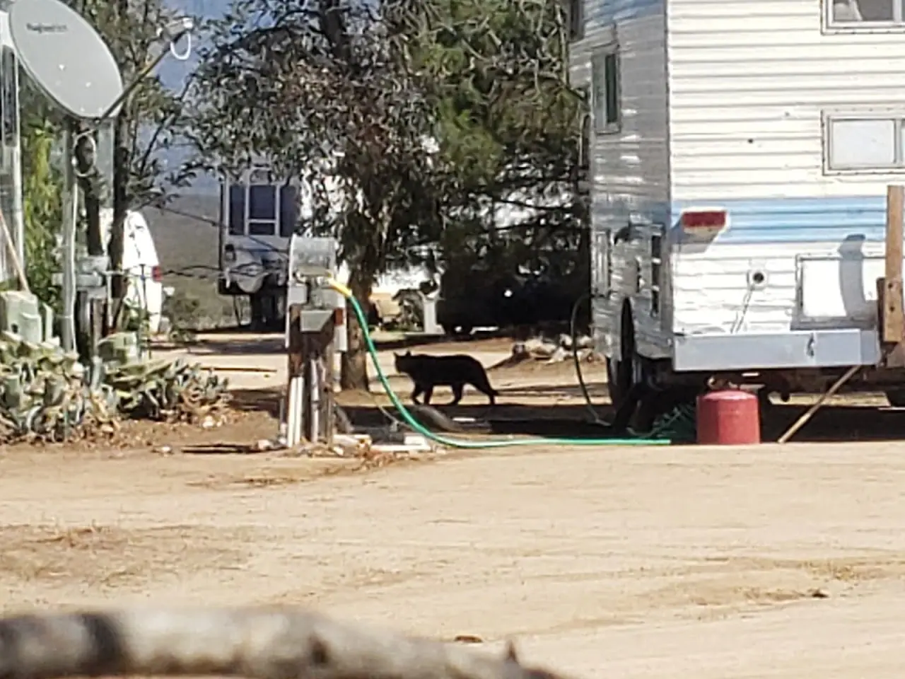 Bradford Run (Formerly Cowboy Country Campground), RV storage in Aguanga