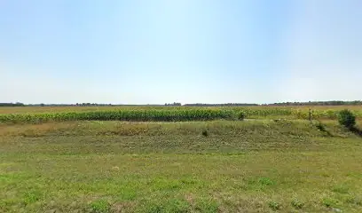Toy Storage in Nevis, MN