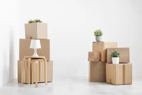 Storage Lion photo 2