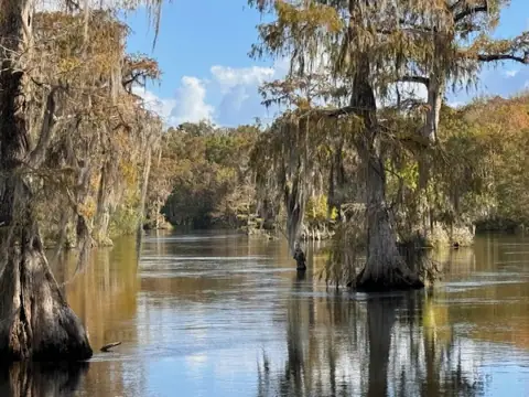Wakulla Storage photo 3