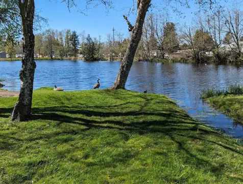 Uncle John's RV Park and Self-Storage photo 2