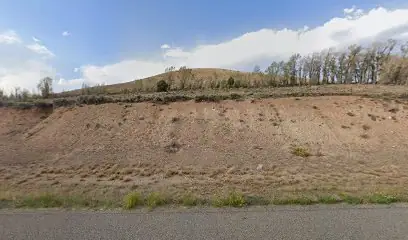 Alpine Moving & Storage in Gunnison, CO