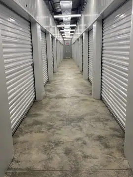 Storage Lion photo 2
