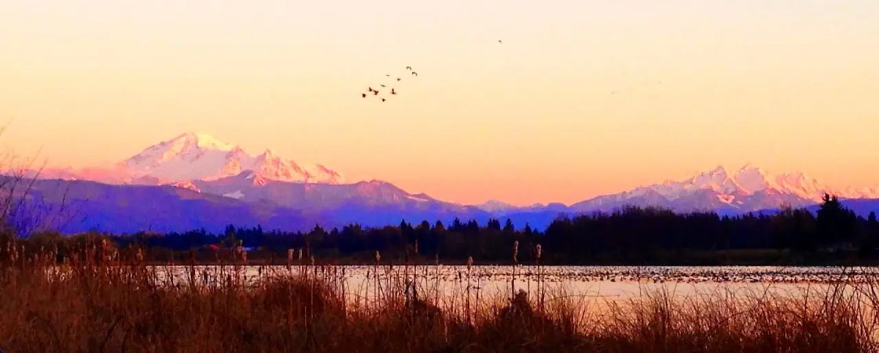 Wiser Lake Business Park, RV storage in Lynden
