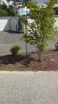 Self Storage Brothers Climate Controlled Greenville NC photo 2