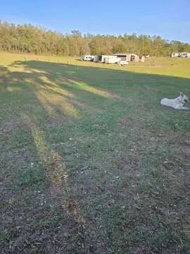 High Corner RV Storage photo 3