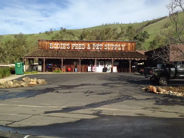 Rodie's RV & Self Storage, RV storage in Clayton