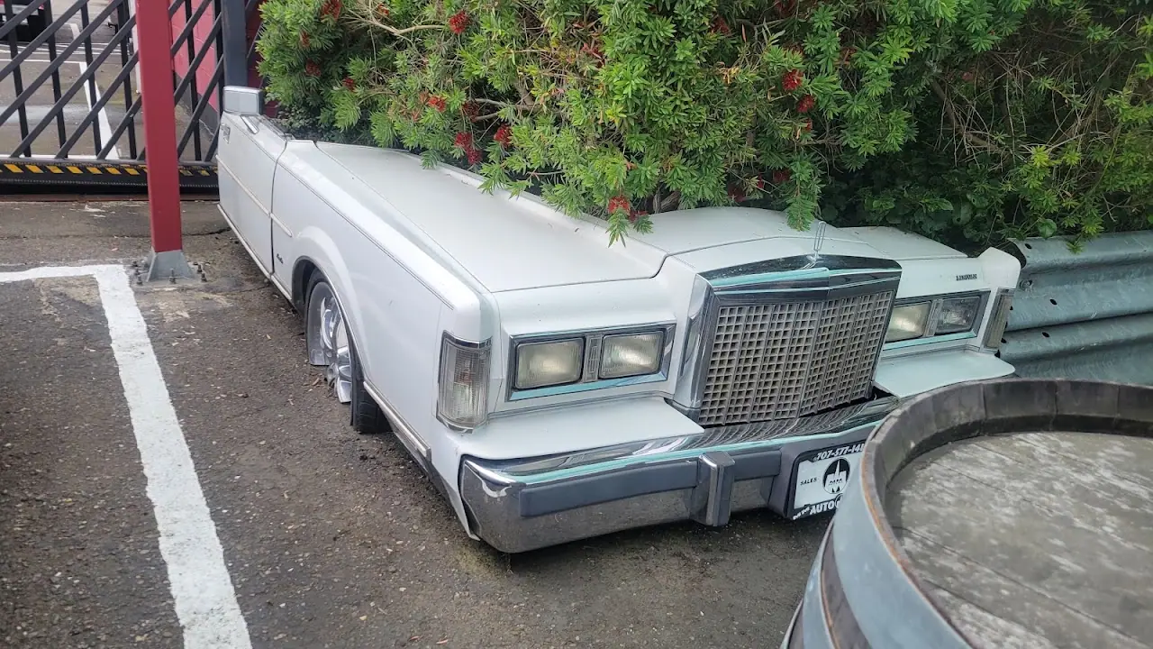 MM Motors, RV storage in Santa Rosa