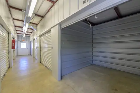 Storage Lion photo 3