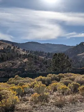 Caughlin Ranch Storage photo 3