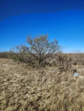 Truck & RV Storage -Texas Permian Oilfield Storage LLC in Midland, TX