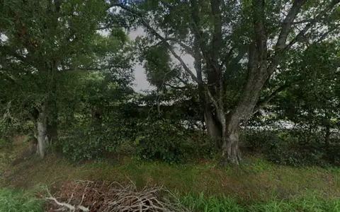 Hatcher st RV and boat storage photo 2