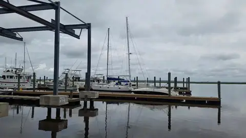 Fort McAllister Marina photo 2