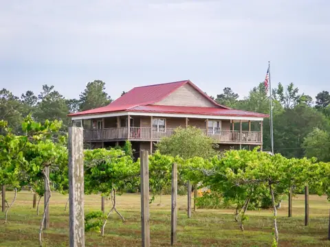 Carrollwoods RV Campground & Vineyard in Tabor City, NC
