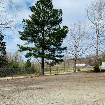 Pine Grove RV photo 2