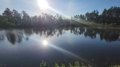 Pine Lake RV Park photo 2