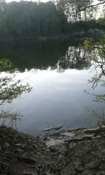 Caesar Creek Boat and RV Storage photo 3
