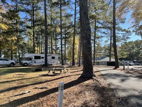 Allatoona Landing Marine Resort photo 2