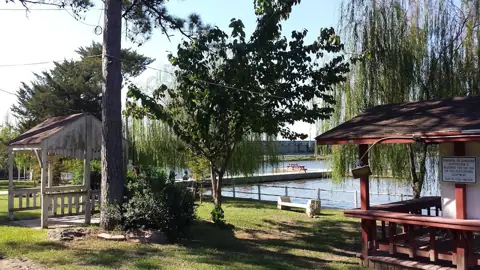 Lake Houston Marina photo 3