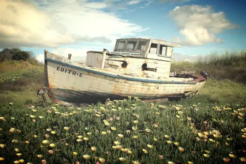Port Sonoma photo 3