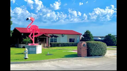 Advantage Storage in Frisco, TX