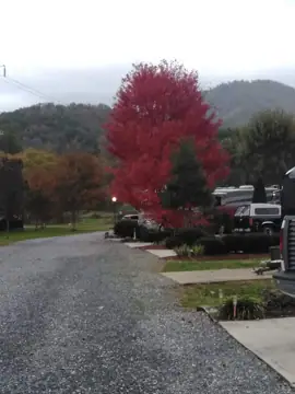 Savannah Creek Mtn Storage and RV photo 2