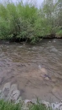 Chalk Creek Campground & RV Park photo 2