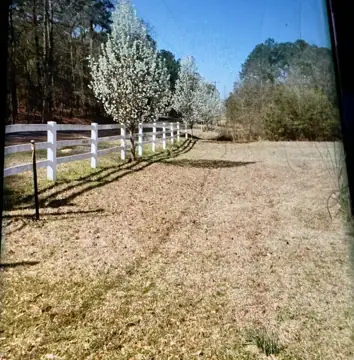 Yvonne’s RV and Boat Storage in St Matthews, SC