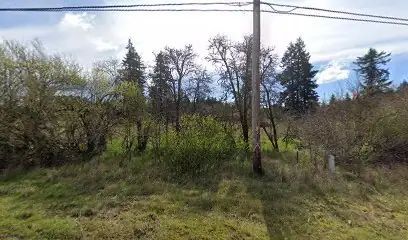 ROCHESTER BRV SITE in Rochester, WA