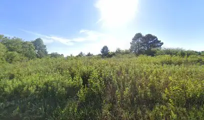Diamond Bay Boat and RV Storage in Crane Hill, AL