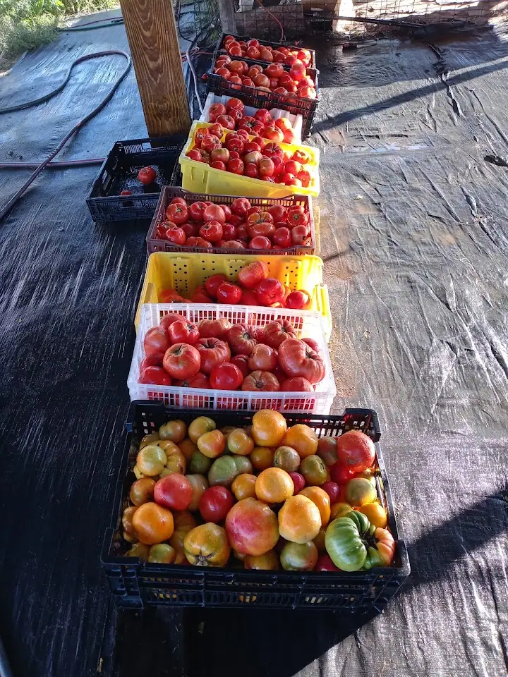 Benton Harbor Fruit Market Inc, RV storage in Benton Harbor