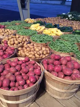 Benton Harbor Fruit Market Inc photo 2