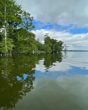 Roberson RV Campground Reelfoot Lake photo 2