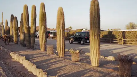 Black Rock RV Village in Salome, AZ