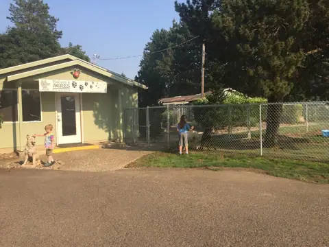 Natures Acres Boarding Kennels photo 2