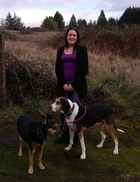 Natures Acres Boarding Kennels photo 3