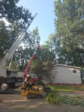 STL Tree Services photo 2