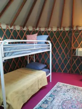 Pine Gardens RV Park and Campground photo 2