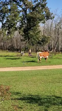 A-Okay RV Park in Dothan photo 2