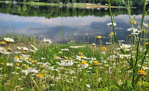 Cedar Lake Development in Bonne Terre, MO