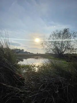 Lakes of Whitney Willow RV Park photo 3