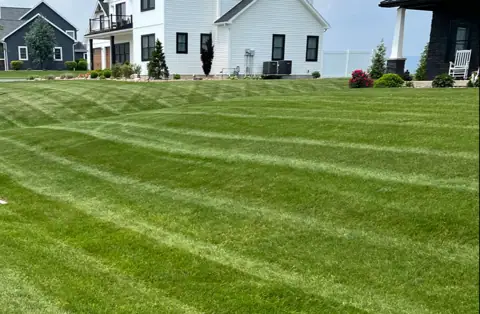 Above Ground Care INC in Danville, PA